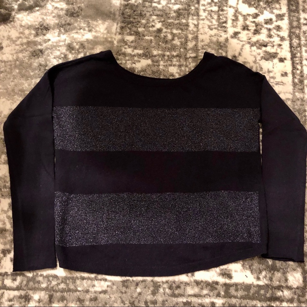 Banana Republic Sparkly Blue Sweater